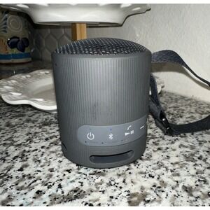 Sony SRS-XB100 Portable Bluetooth Wireless Speaker Gray YY7856E